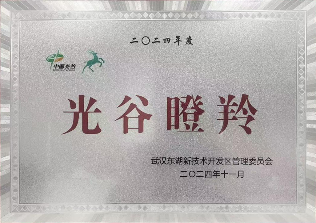 西红柿科技（武汉）有限公司所得荣誉