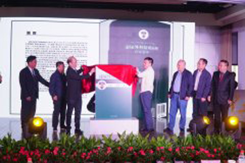 汉阳医院邀泌外大咖江城论道 专家点赞我省泌尿外科疑难疾病会诊