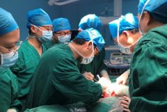 汉阳医院多学科专家联手成功切除巨大肿瘤
